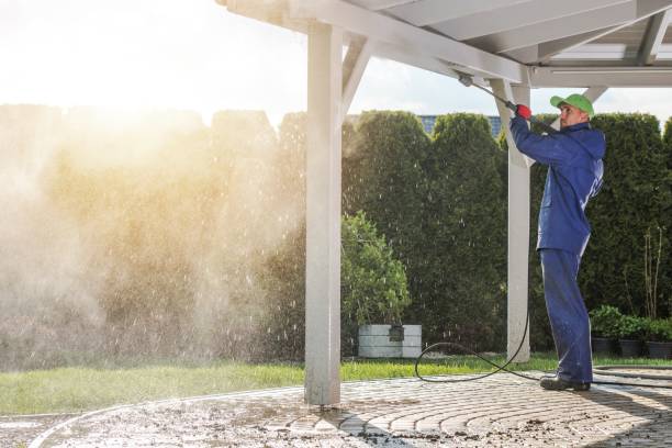 Best Soft Washing  in Easton, MD